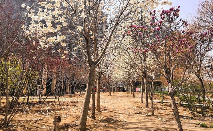 丰台区 晓月八里1号楼16层4单元1604号（沸城）