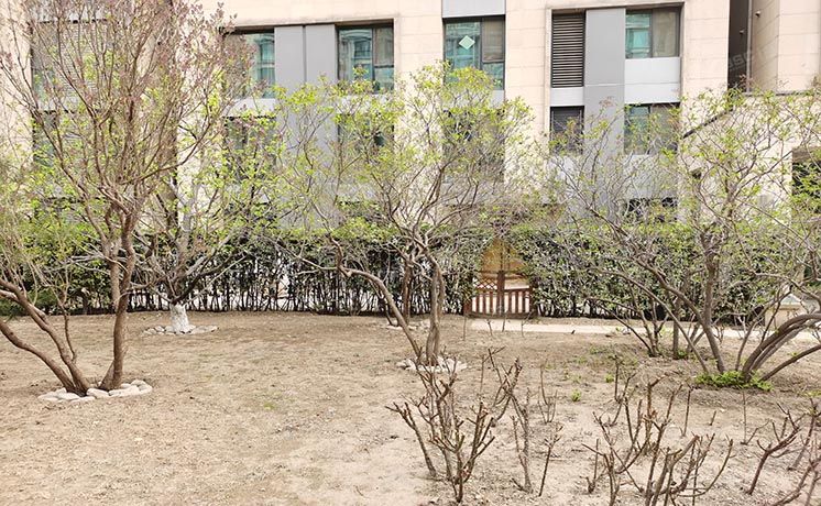 朝阳区 弘燕山水文园10号楼1至2层3单元101室（山水文园东园）复式