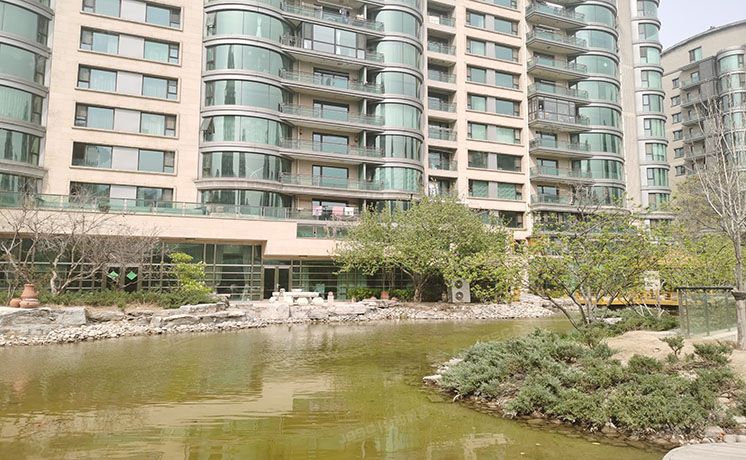 朝阳区 弘燕山水文园10号楼1至2层3单元101室（山水文园东园）复式