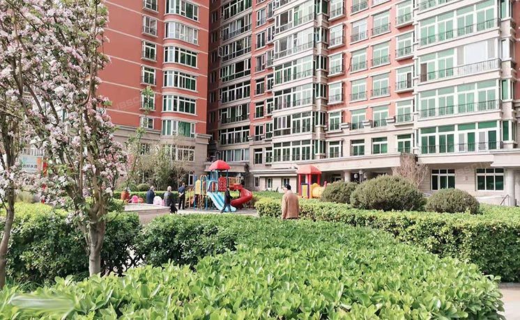 海淀区 紫竹院路88号A座6层705（紫竹花园）