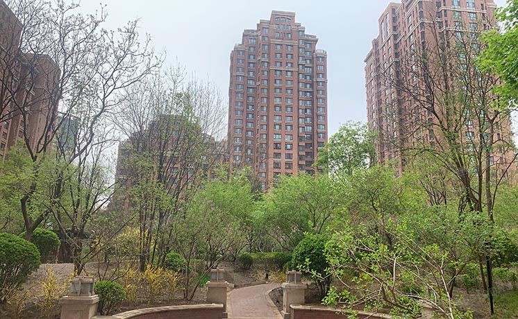 西城区 广安门外大街305号二区1号楼6层2单元705（西堤红山）