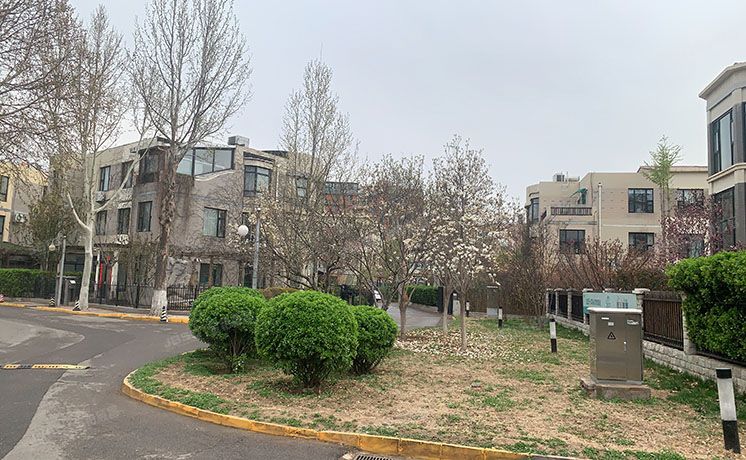 经济技术开发区 天华园三里六区7号楼1至3层1门（一栋洋房）别墅