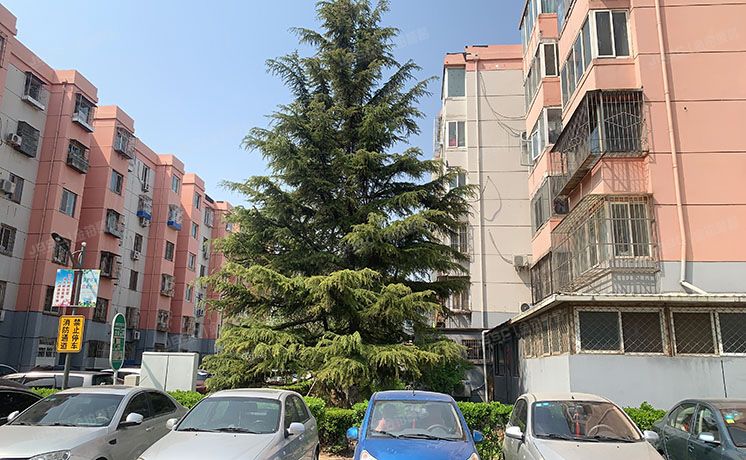 大兴区-亦庄 贵园东里甲4号楼4层1-401（贵园东里）