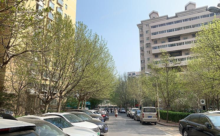 丰台区 丰管路1号院7号楼3层304号（丰益花园东区）经适房