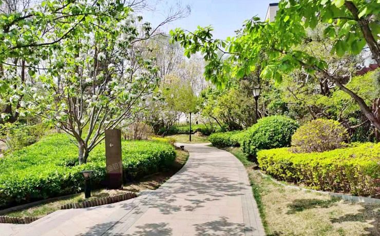 朝阳区 来广营西路4号院2号楼11层1101室（望京金茂府）