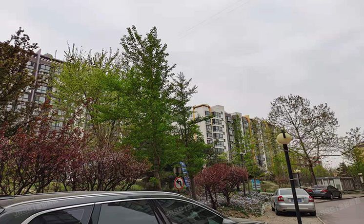 通州区 玉桥北里62号楼3单元202（阳光好东东）