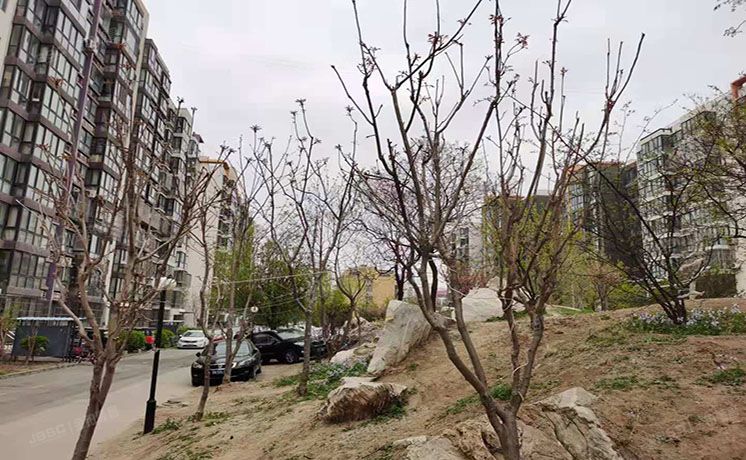 通州区 玉桥北里62号楼3单元202（阳光好东东）