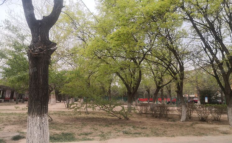 顺义区 马坡花园7号楼3至4层二单元301（马坡花园一区）复式