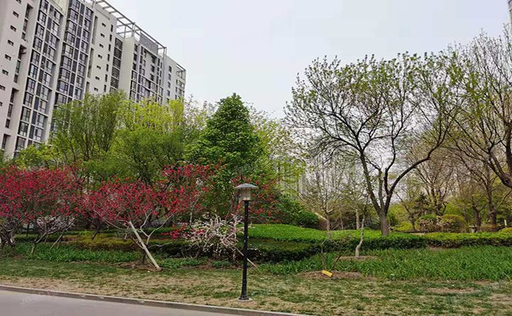 通州区 杨庄北里2号楼24层2单元2401（天时名苑）