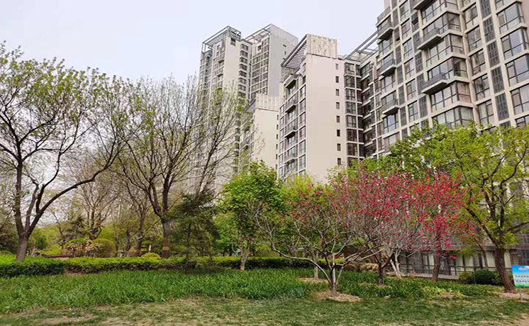 通州区 杨庄北里2号楼24层2单元2401（天时名苑）