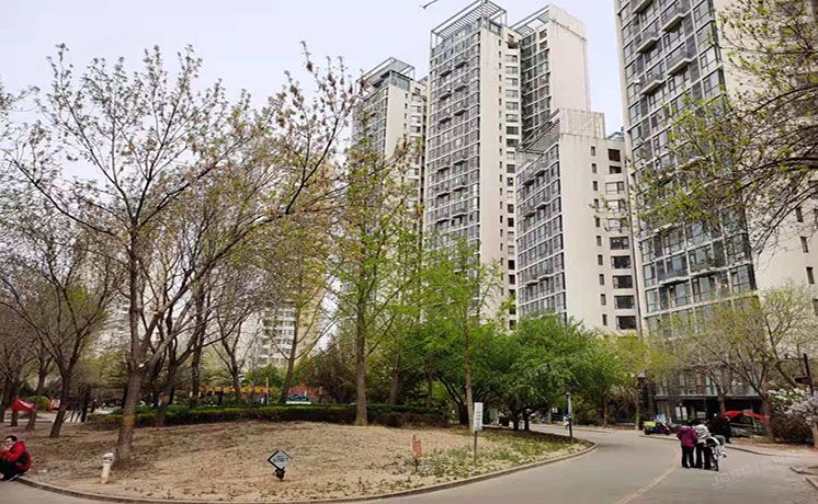 通州区 杨庄北里2号楼24层2单元2401（天时名苑）