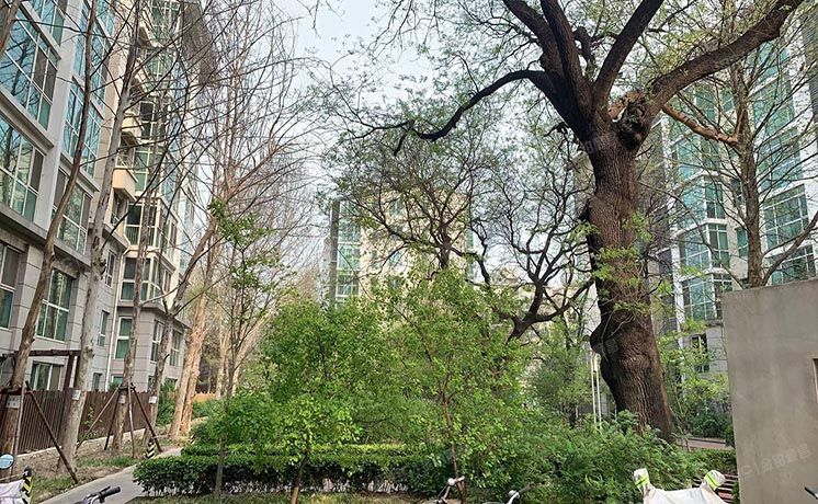 西城区 太平桥大街8号院2号楼8层3单元804+车位（西城晶华）