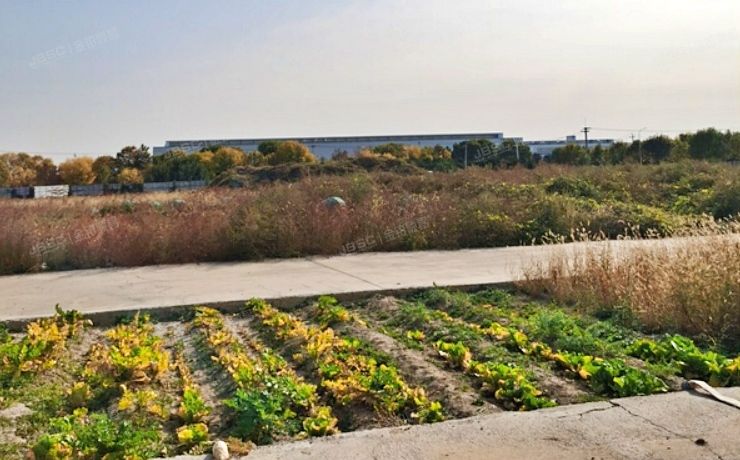 顺义区 仁和镇吴家营村西北的工业用地一宗 工业