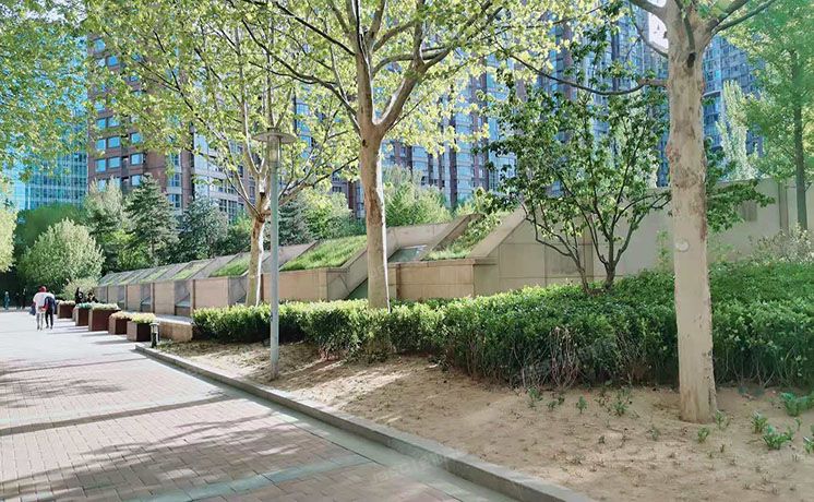 朝阳区 八里庄北里210号楼3单元302室（公园1872）