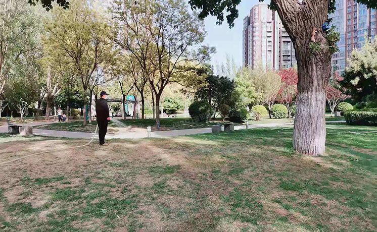 朝阳区 八里庄北里210号楼3单元302室（公园1872）