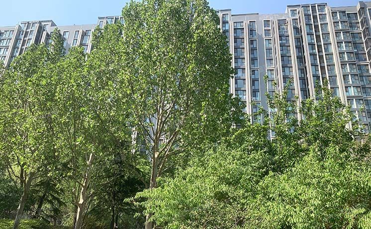 丰台区 阅园一区4号楼11层4单元1101（第七街区阅园一区）