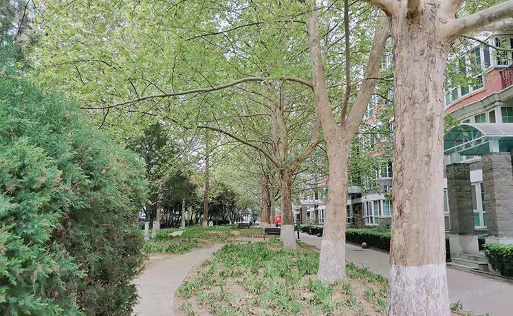 海淀区 万柳万泉新新家园12号楼3层1-301室（万泉新新家园）