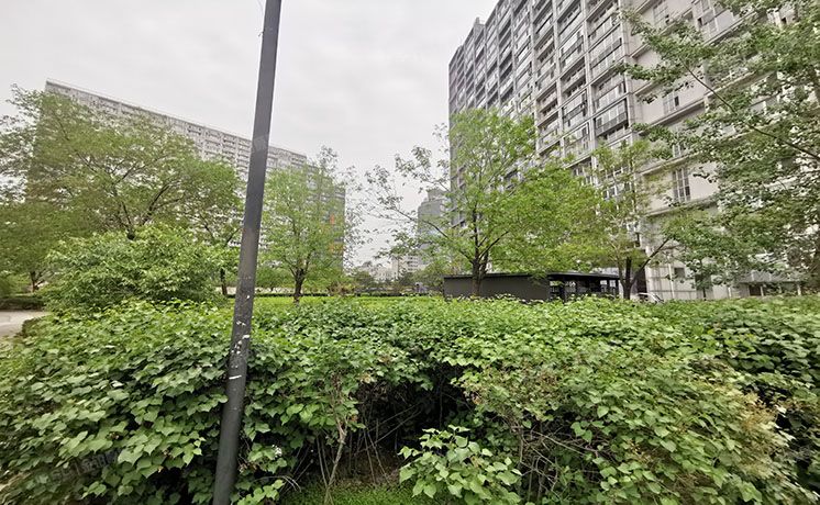 朝阳区 五里桥二街2号院70套（北京像素南区）地下商业