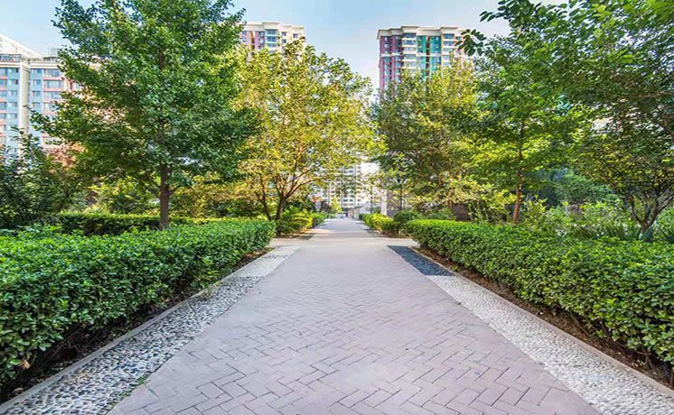 西城区 广安门外大街305号八区16号楼9层925（荣丰2008）