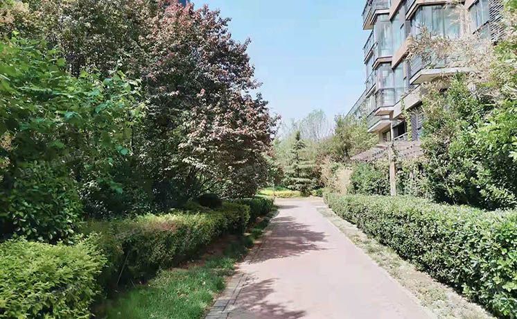 朝阳区 金蝉欢乐园2号院9号楼9层9单元901（华侨城）