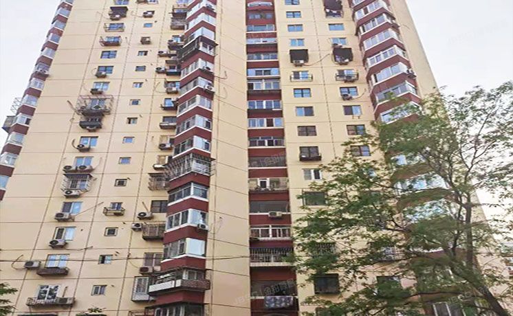 朝阳区 农光东里33号楼8层803号（农光东里）