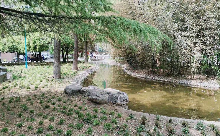 海淀区 远大园五区2号楼8层1单元9A（远大园五区）