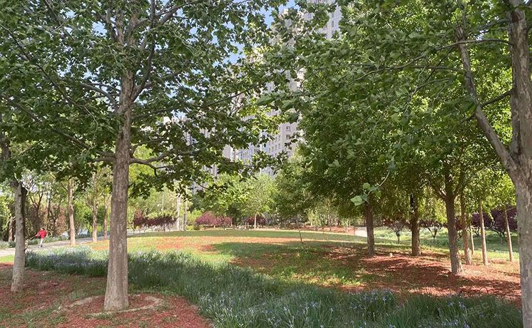 朝阳区 东四环北路6号二区30号楼16层1902（安徒生花园）