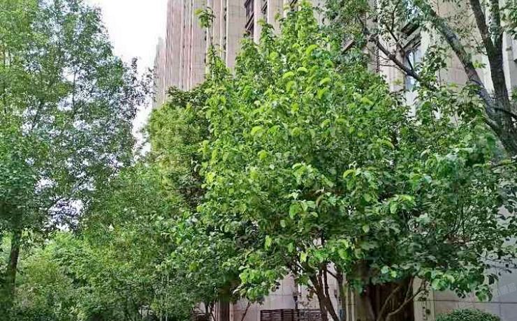 朝阳区 常通路4号院3号楼3层7单元302（长楹天街）