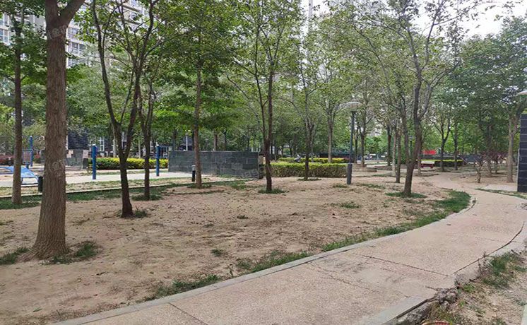 通州区 杨庄南里甲65号楼6层3单元601（世纪星城）