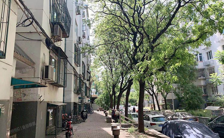 东城区 法华南里14号楼3单元501（法华南里）