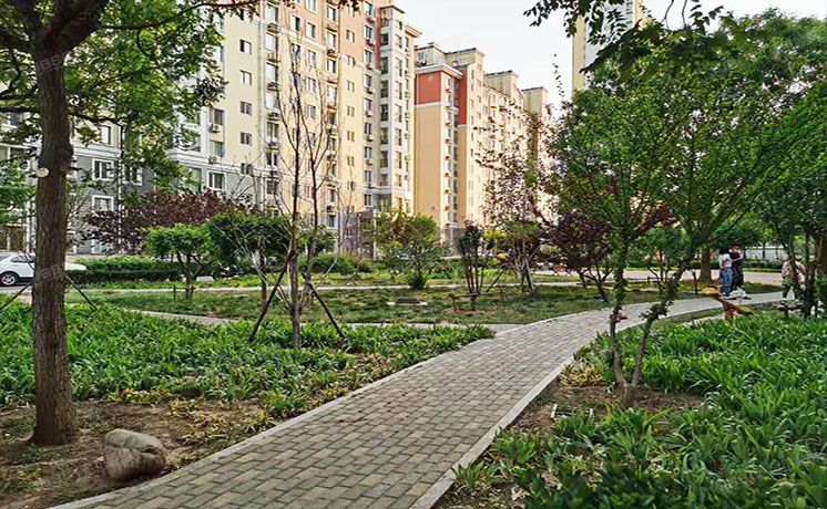 通州区 紫运西里4号楼7层374（荔景园）