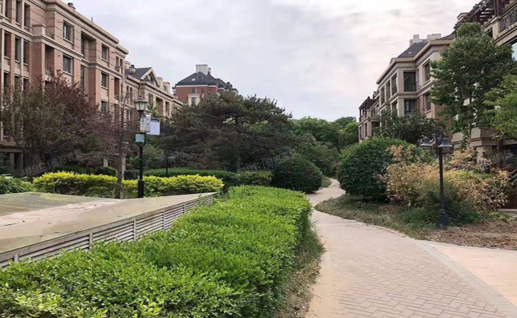 房山区-阎村镇 绿城.百合公寓栖霞苑9号楼5层3-501,3-501跃层（绿城百合）