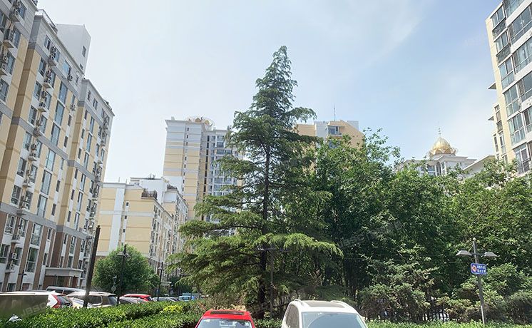 丰台区 星河苑2号院20号楼1层1单元102号（星河苑）