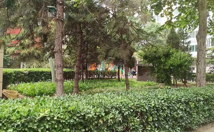 朝阳区 幸福一村西里4号楼17A（联宝公寓）