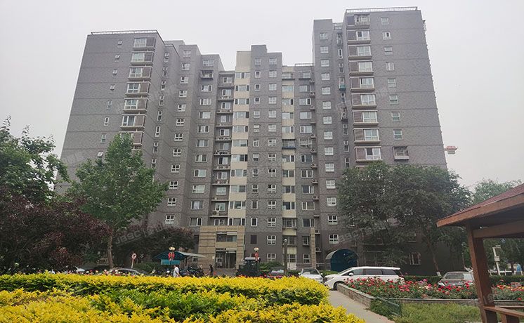 丰台区 西局欣园南区12号楼1单元1401（西局欣园南区）