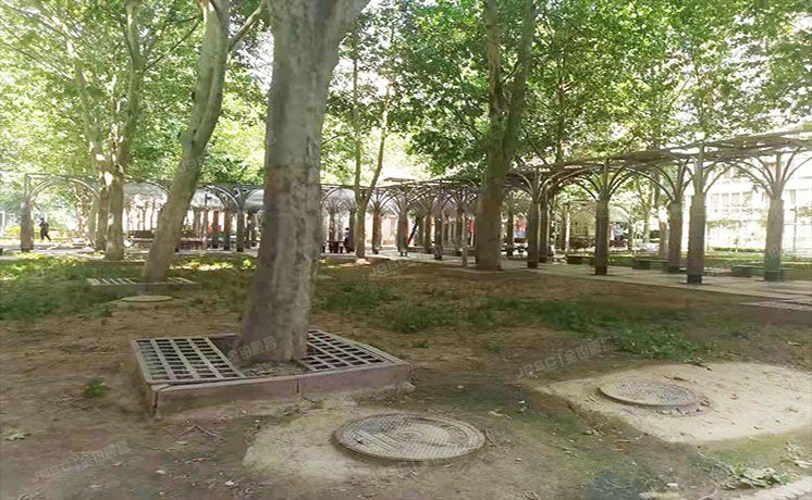 海淀区 魏公村街1号韦伯豪家园5号楼16层4门1604（韦伯豪家园）