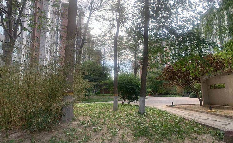 朝阳区 十里堡2号院6号楼3单元901号（首创爱这城）