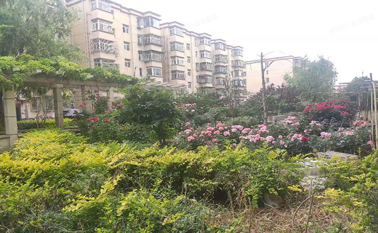 通州区 梨园西里11号楼3层331（梨花园）