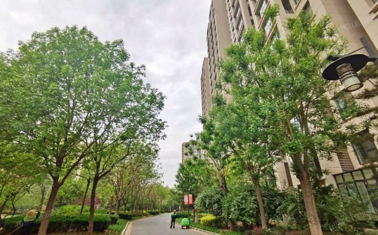 大兴区 西红门北一街1号院21号楼10层2单元1002（鸿坤理想城）