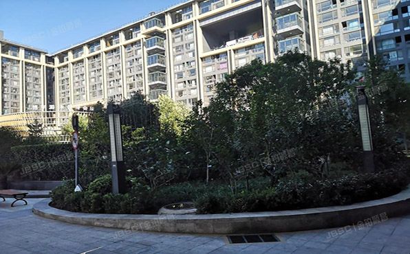 顺义区 裕民大街3号院1幢3层4单元319（北京方糖）办公