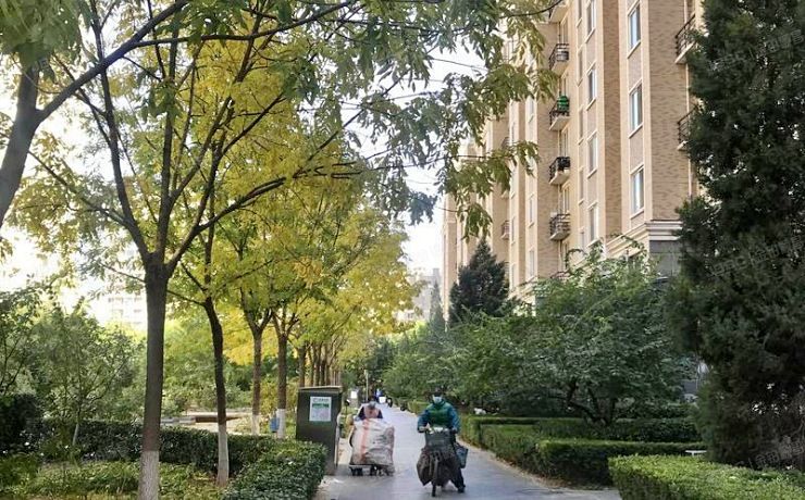 朝阳区 西大望路19号院3号楼8层1单元801（金港国际）