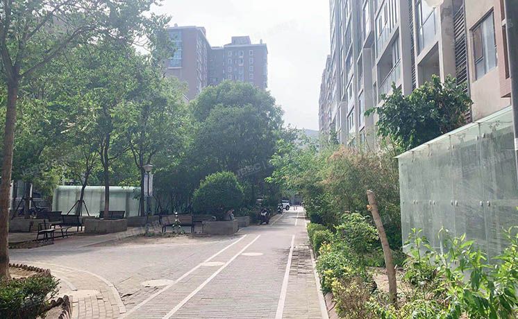 朝阳区 百子湾东里209号楼9层1单元902（沿海赛洛城）