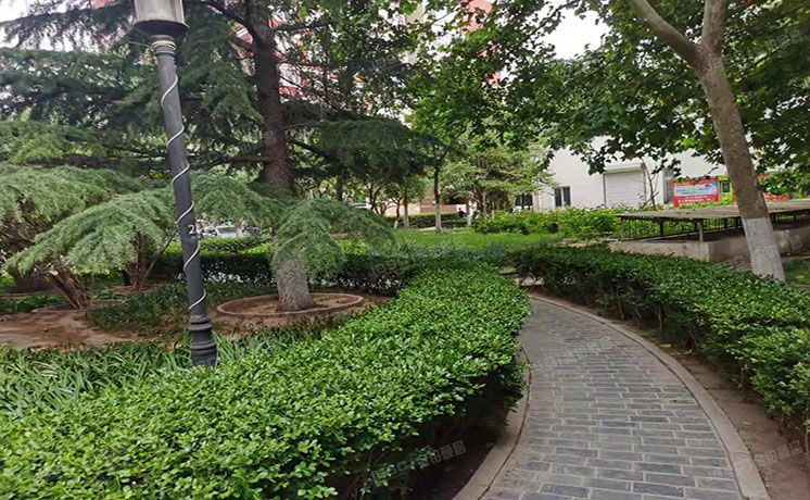 朝阳区 建国路98号3号楼15层1507（盛世嘉园）