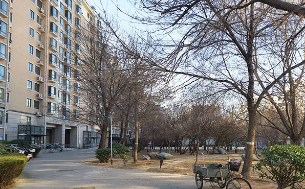 大兴区 黄村镇滨河北里6号楼2层7-201号（那尔水晶城）