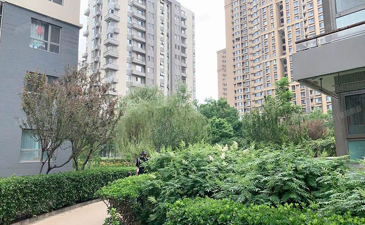 朝阳区 百子湾西里331号楼16层1单元1902（金泰先锋北区）