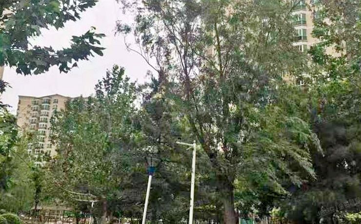 海淀区 蓝靛厂垂虹园1号楼11层12G（垂虹园）