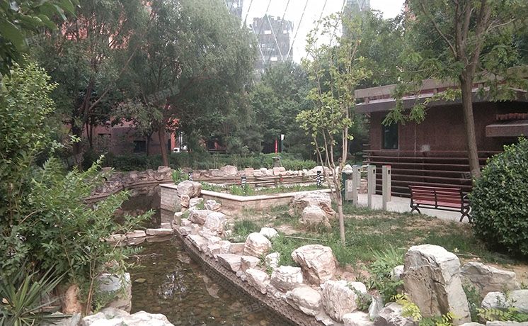 朝阳区 太阳宫火星园3号楼13层3单元3131（火星园）