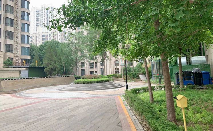 朝阳区 雅成二里21号楼11层2单元1205（天鹅湾北区）