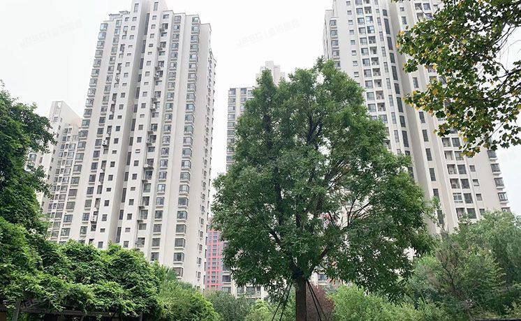 朝阳区 雅成二里21号楼11层2单元1205（天鹅湾北区）