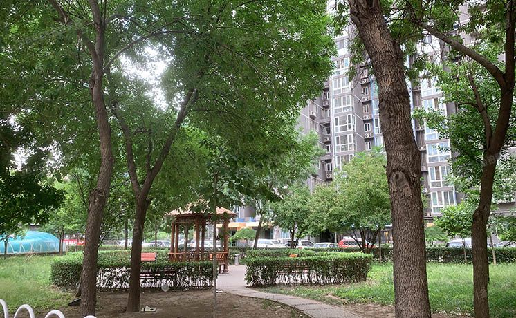 西城区 红居街8、10号1号楼17层17-1704号（红居街10号院）